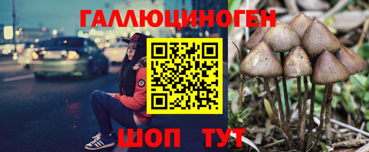 Галлюциногенные грибы Cubensis  Вход с VPN  Артём 